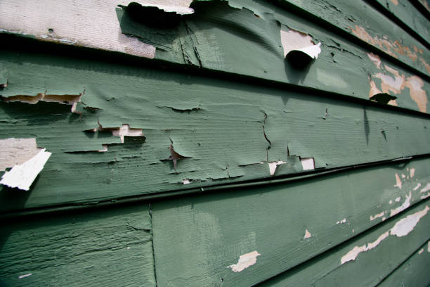 Best Retail Junk Removal  in Seaford, NY