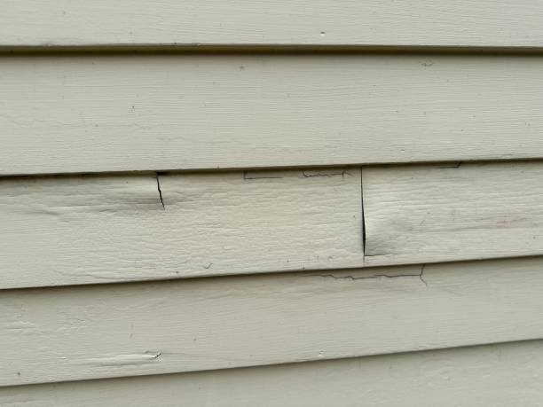 Best Hoarding Cleanup  in Seaford, NY